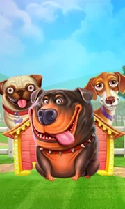 The Dog House