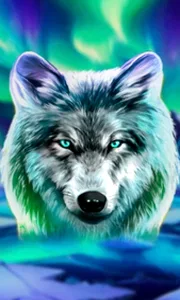 Wolf Fang - Northern Spirits